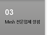 MESH 전문업체 장점